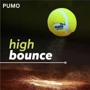 Hitech Sales - Pumo Cricket Tennis Ball | Lightweight Tennis Ball for Cricket Practice & Play | Durable and High Bounce Ball for Indoor & Outdoor Use (Pack of 6)