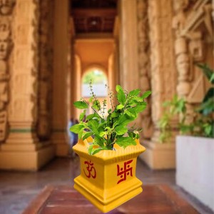 Tulsi Tree Planter Pot Indoor Outdoor Sacred Basil Plant Holder Decorative Eco-Friendly Durable Lightweight (Yellow) Tulsi Tree Planter Pot Indoor Outdoor Sacred Basil Plant Holder Decorative Eco-Friendly Durable Lightweight (Yellow)