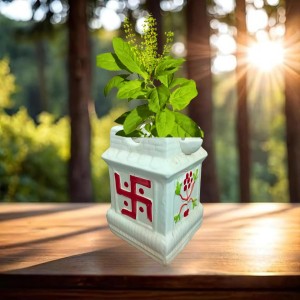Ceramic Tulsi Pot for Home | Handmade, Vastu-Friendly, Tulsi Planter for Puja Mandir & Balcony Ceramic Tulsi Pot for Home | Handmade, Vastu-Friendly, Tulsi Planter for Puja Mandir & Balcony