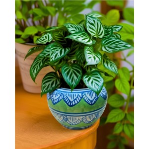 HI TECH Sales Hand-Painted Ceramic Flower Pot Decorative Tabletop Planter for Home & Office | Ethnic Pot Design | Ready-to-Display Indoor Plant Decor HI TECH Sales Hand-Painted Ceramic Flower Pot Decorative Tabletop Planter for Home & Office | Ethnic Pot Design | Ready-to-Display Indoor Plant Decor