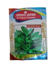 Special Hybrid Malabar Spinach Seeds Pui Seeds Special Hybrid Malabar Spinach Seeds Pui Seeds