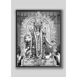 HI Tech Sales MA JAGADHATRI Photo Frame wood laminated Photo Frame Idol for Pooja, wall hanging/gift/temple/puja room/home decor HI Tech Sales MA JAGADHATRI Photo Frame wood laminated Photo Frame Idol for Pooja, wall hanging/gift/temple/puja room/home decor