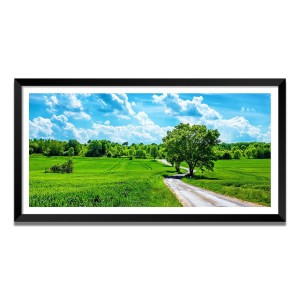 Nature Landscape Floating Frame Scenery Digital Print - (I5827) - 24x48 inch Modern Nature Wall Art for Living Room, Bedroom, Office, Hotels, Drawing Room Nature Landscape Floating Frame Scenery Digital Print - (I5827) - 24x48 inch Modern Nature Wall Art for Living Room, Bedroom, Office, Hotels, Drawing Room
