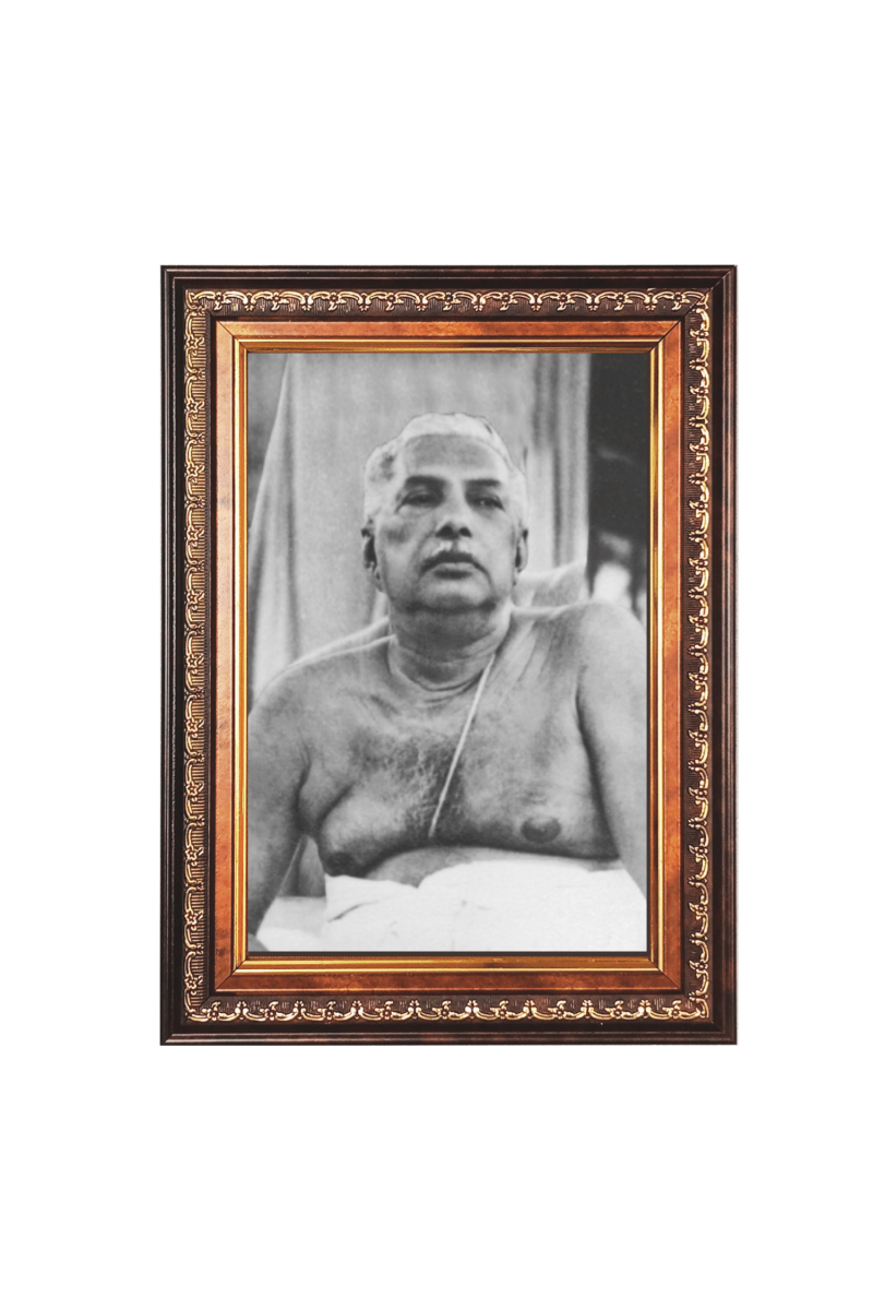 Sri Anukul Chandra Thakur Color Photo frame 10x14 Inch - Vibrant Religious Wall Art for Home ,Office Decor,Temple Decoration and Gifting.