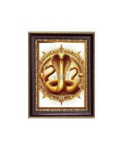 Sri Goga maharaj Digital Print Photo 6.7x8.7 inches - Vibrant Religious Desk And Wall Art for Home , Office and Temple Decor and Gifting.