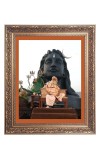 Adi Yogi Big Photo Frame - 10x14 Inches for Home ,Temple & Office Decoration Adi Yogi Big Photo Frame - 10x14 Inches for Home ,Temple & Office Decoration