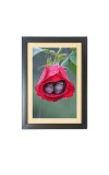 Two cute little birds inside the rose flower Photo Frame Funny Animal and Bird Cartoon Art, Black color, 11x15 Inch Two cute little birds inside the rose flower Photo Frame Funny Animal and Bird Cartoon Art, Black color, 11x15 Inch