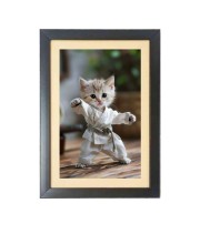 The cute cat is doing karate  Photo Frame Funny Animal and Bird Cartoon Art, Black color, 11x15 Inch