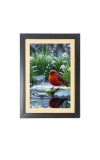 The cute bird Photo Frame Funny Animal and Bird Cartoon Art, Black color, 11x15 Inch The cute bird Photo Frame Funny Animal and Bird Cartoon Art, Black color, 11x15 Inch