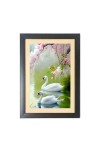 Two beautiful swans Photo Frame Funny Animal and Bird Cartoon Art, Black color, 11x15 Inch Two beautiful swans Photo Frame Funny Animal and Bird Cartoon Art, Black color, 11x15 Inch
