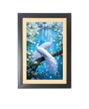 The two lovely white peacocks  Photo Frame Funny Animal and Bird Cartoon Art, Black color, 11x15 Inch