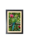 The beautiful parrot Photo Frame Funny Animal and Bird Cartoon Art, Black color, 11x15 Inch The beautiful parrot Photo Frame Funny Animal and Bird Cartoon Art, Black color, 11x15 Inch