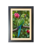 The beautiful parrot  Photo Frame Funny Animal and Bird Cartoon Art, Black color, 11x15 Inch