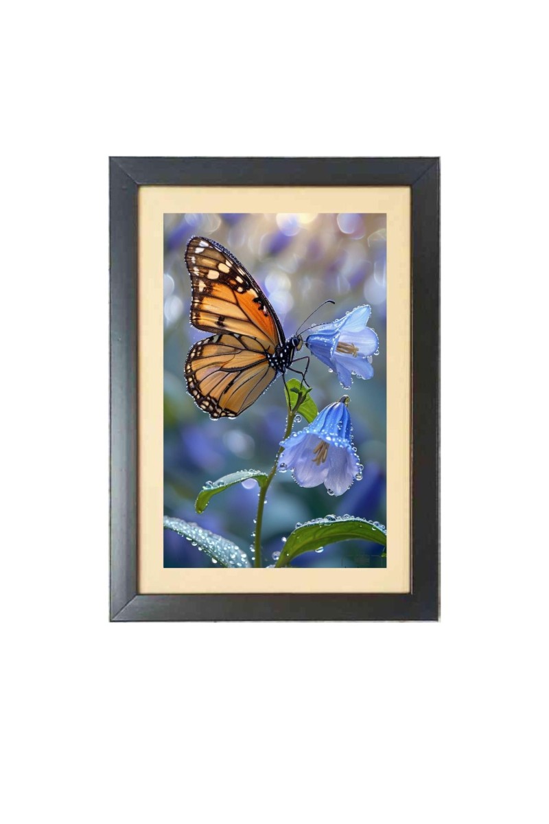 The beautiful butterfly  Photo Frame Funny Animal and Bird Cartoon Art, Black color, 11x15 Inch