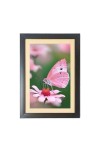 The pink color butterfly  Photo Frame Funny Animal and Bird Cartoon Art, Black color, 11x15 Inch