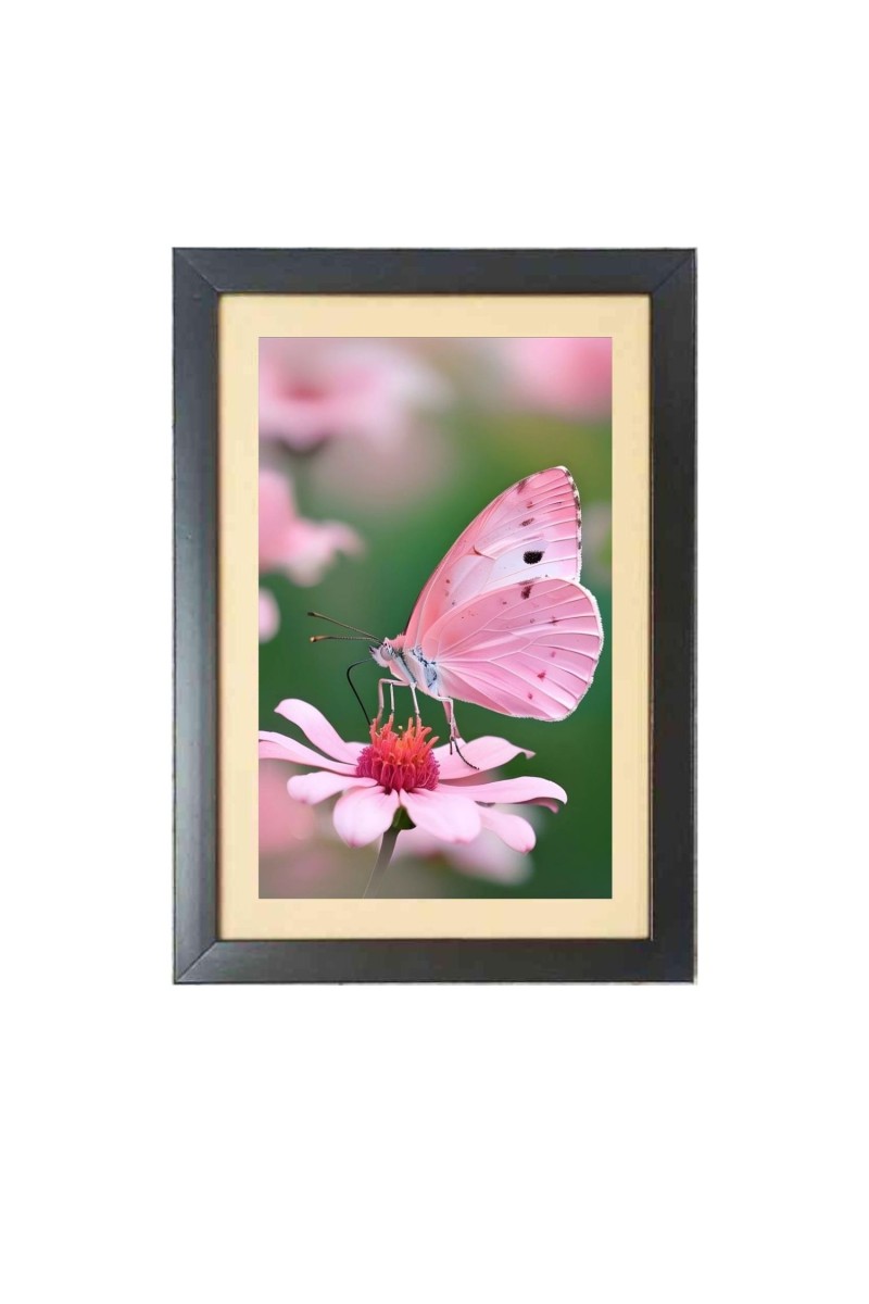 The pink color butterfly  Photo Frame Funny Animal and Bird Cartoon Art, Black color, 11x15 Inch