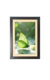 The green butterfly Photo Frame Funny Animal and Bird Cartoon Art, Black color, 11x15 Inch The green butterfly Photo Frame Funny Animal and Bird Cartoon Art, Black color, 11x15 Inch