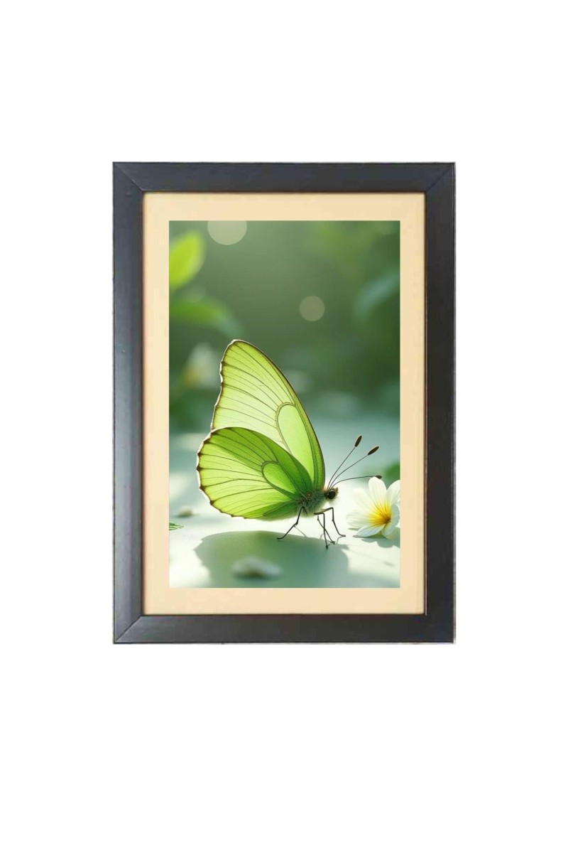 The green butterfly  Photo Frame Funny Animal and Bird Cartoon Art, Black color, 11x15 Inch