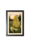The beautiful yellow color butterfly Photo Frame Funny Animal and Bird Cartoon Art, Black color, 11x15 Inch The beautiful yellow color butterfly Photo Frame Funny Animal and Bird Cartoon Art, Black color, 11x15 Inch