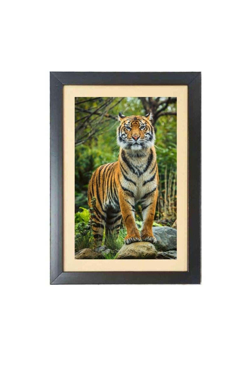 The tiger in the forest  Photo Frame Funny Animal and Bird Cartoon Art, Black color, 11x15 Inch