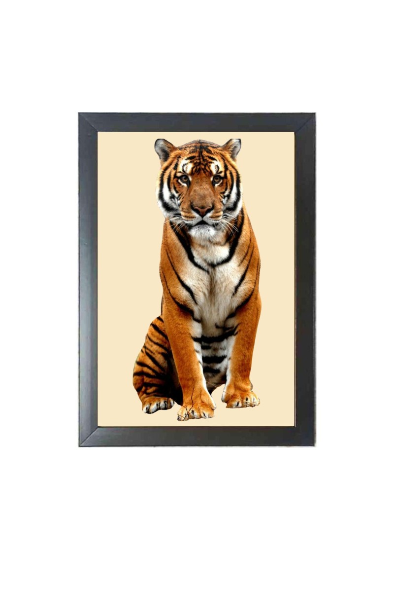The tiger looking seriously  Photo Frame Funny Animal and Bird Cartoon Art, Black color, 11x15 Inch