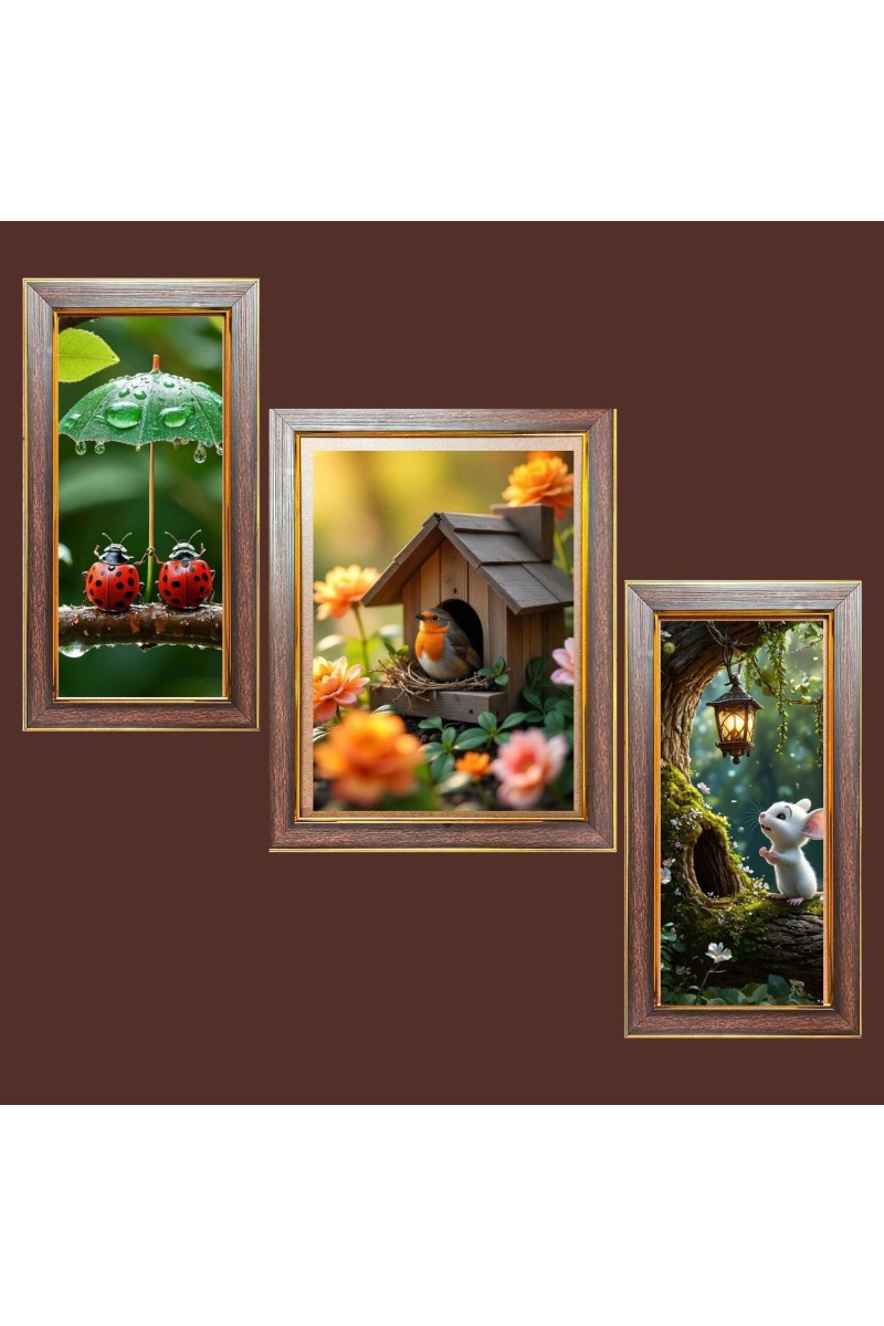 3-Pack The Bird's Eye View Photo Frames - 2 Pieces 6x13 Inch & 1 Piece 10x13 Inch - Rustic Wall Art for Home & Office Decor - Botanical Wall Hanging for Living Room, 