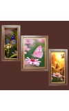 3-Pack The beautiful butterflies Photo Frames - 2 Pieces 6x13 Inch & 1 Piece 10x13 Inch - Rustic Wall Art for Home & Office Decor - Botanical Wall Hanging for Living Room, Bedroom, or W 3-Pack The beautiful butterflies Photo Frames - 2 Pieces 6x13 Inch & 1 Piece 10x13 Inch - Rustic Wall Art for Home & Office Decor - Botanical Wall Hanging for Living Room, Bedroom, or W