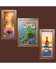 3-Pack Colorful Echoes of Nature Photo Frames - 2 Pieces 6x13 Inch & 1 Piece 10x13 Inch - Rustic Wall Art for Home & Office Decor - Botanical Wall Hanging for Living Room, Bedroom, or W