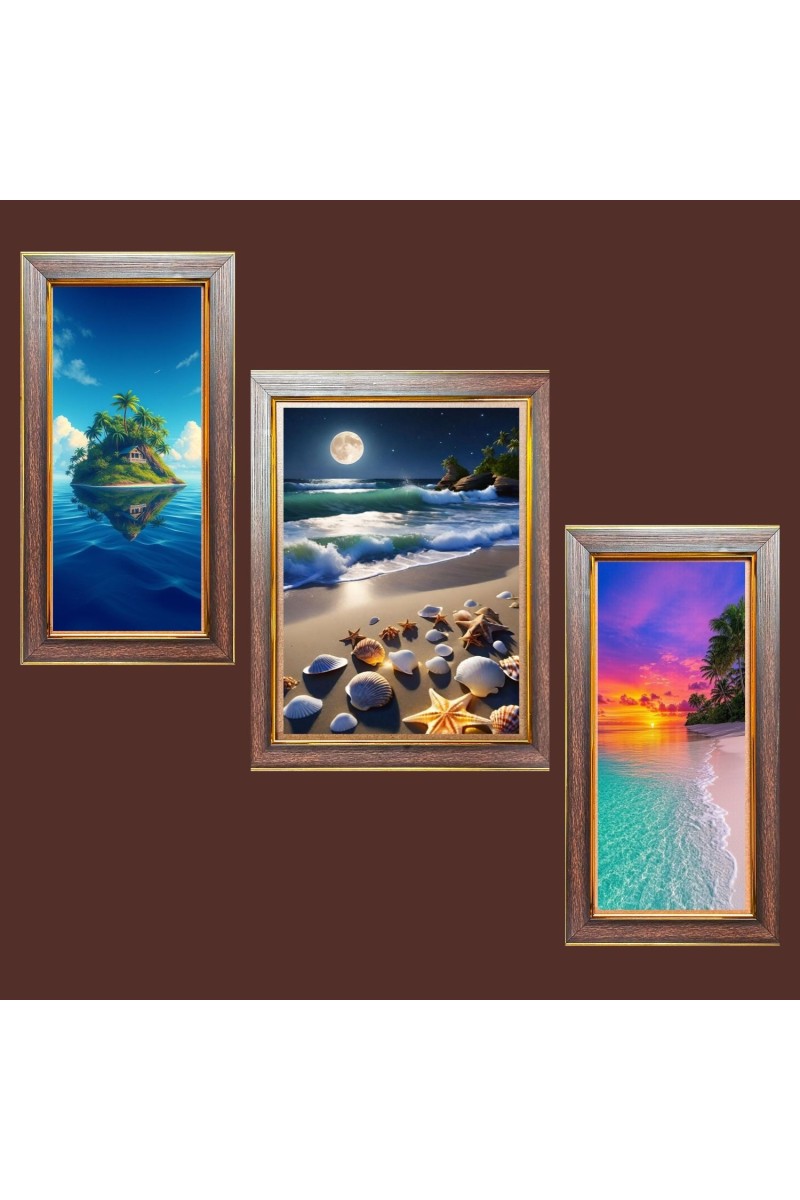 3-Pack The Sky's Silent Story Photo Frames - 2 Pieces 6x13 Inch & 1 Piece 10x13 Inch - Rustic Wall Art for Home & Office Decor - Botanical Wall Hanging for Living Roo