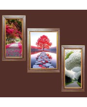 3-Pack A Glimpse of Eternity Photo Frames - 2 Pieces 6x13 Inch & 1 Piece 10x13 Inch - Rustic Wall Art for Home & Office Decor - Botanical Wall Hanging for Living Room, Bedroom, or Works