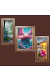 3-Pack Beautiful view  Photo Frames - 2 Pieces 6x13 Inch & 1 Piece 10x13 Inch - Rustic Wall Art for Home & Office Decor - Botanical Wall Hanging for Living Room, Bedroom, or Workspace