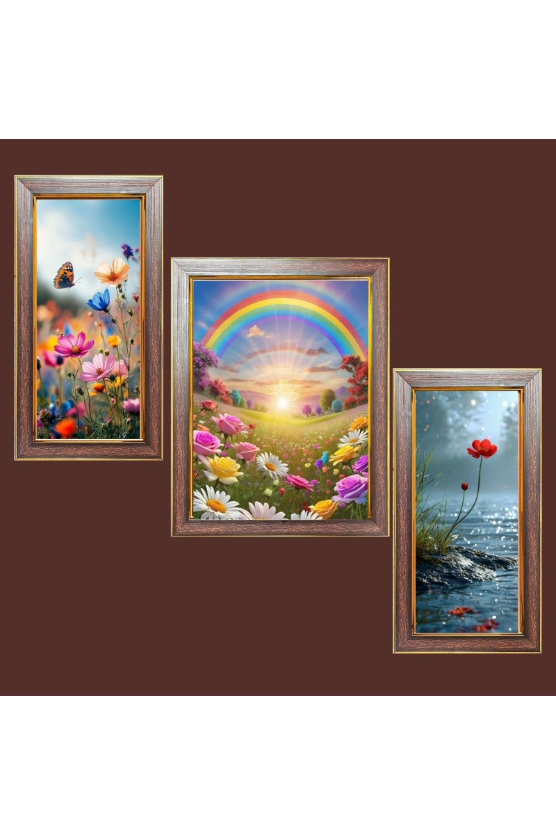 3-Pack Elegant Rainbow view  Photo Frames - 2 Pieces 6x13 Inch & 1 Piece 10x13 Inch - Rustic Wall Art for Home & Office Decor - Botanical Wall Hanging for Living Room, Bedroom, or Works