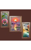 3-Pack Nature's best healing view Photo Frames - 2 Pieces 6x13 Inch & 1 Piece 10x13 Inch - Rustic Wall Art for Home & Office Decor - Botanical Wall Hanging for Living 3-Pack Nature's best healing view Photo Frames - 2 Pieces 6x13 Inch & 1 Piece 10x13 Inch - Rustic Wall Art for Home & Office Decor - Botanical Wall Hanging for Living