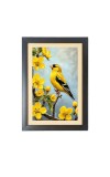 Beautiful Beautiful Bird Photo Frame - 11x15 Inch Black 1-Inch Frame with Mount Paper - Perfect for Home Decor, Living Room & Office Beautiful Beautiful Bird Photo Frame - 11x15 Inch Black 1-Inch Frame with Mount Paper - Perfect for Home Decor, Living Room & Office