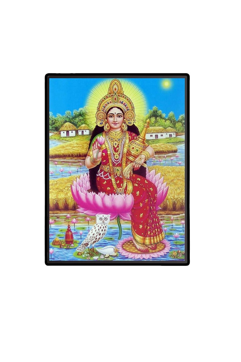 Maa Lakshmi Laminated Photo  - 5x7 Inches, Divine Blessings for Home & Office and Temple Decoration