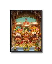 Lord Jagannath Laminated Photo  - 5x7 Inches, Divine Blessings for Home & Office and Temple Decoration