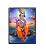 Sri Krishna Laminated Photo  - 5x7 Inches, Divine Blessings for Home & Office and Temple Decoration