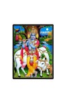 Sri Krishna Laminated Photo - 5x7 Inches, Divine Blessings for Home & Office and Temple Decoration Sri Krishna Laminated Photo - 5x7 Inches, Divine Blessings for Home & Office and Temple Decoration