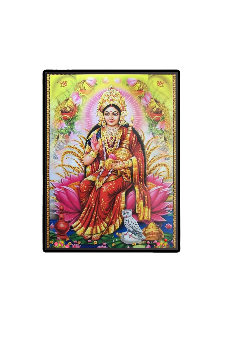 Maa Lakshmi Laminated Photo  - 5x7 Inches, Divine Blessings for Home & Office and Temple Decoration