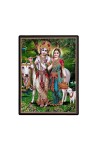 Sri Radha Sri Krishna Laminated Photo - 5x7 Inches, Divine Blessings for Home & Office and Temple Decoration Sri Radha Sri Krishna Laminated Photo - 5x7 Inches, Divine Blessings for Home & Office and Temple Decoration