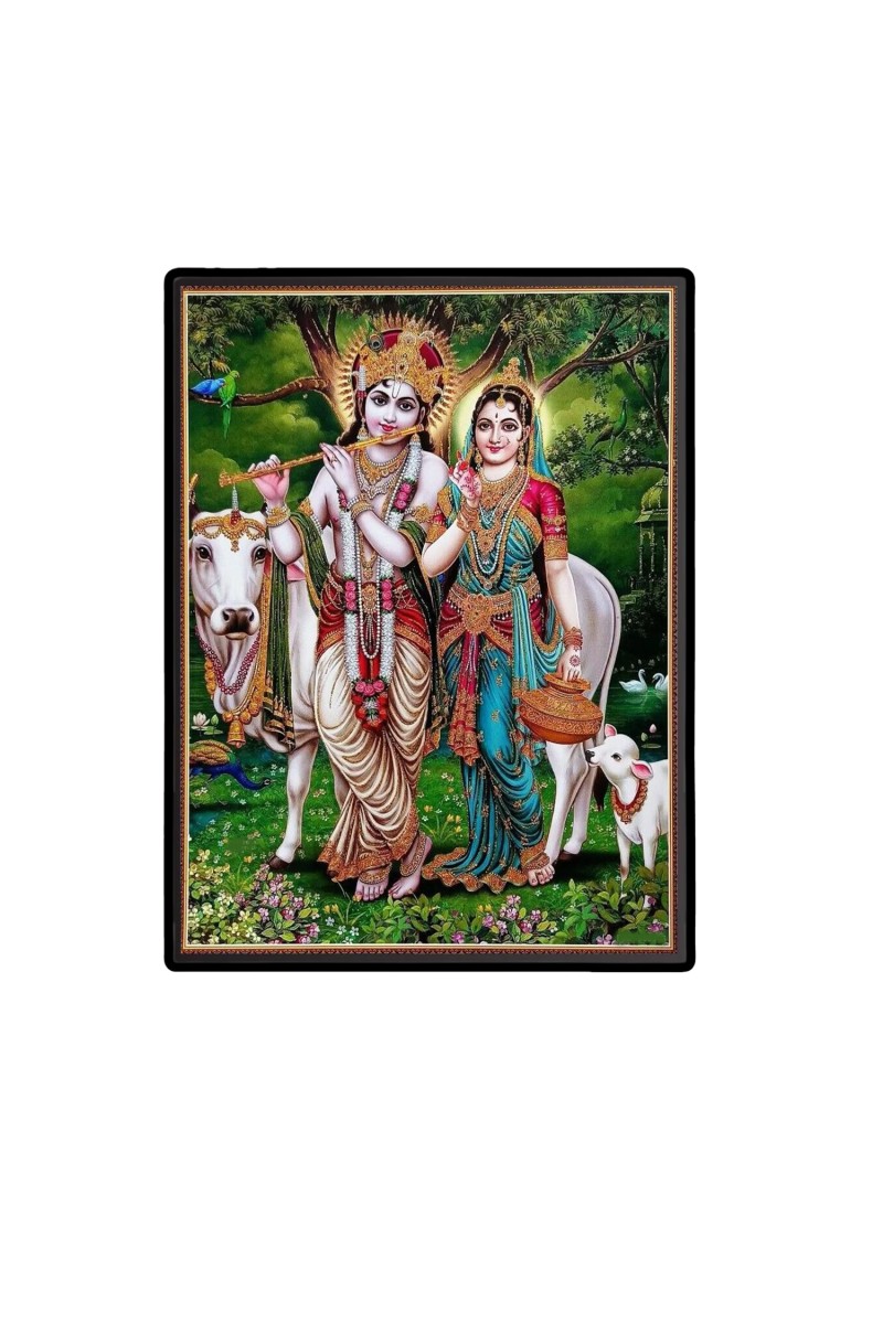 Sri Radha Sri Krishna Laminated Photo  - 5x7 Inches, Divine Blessings for Home & Office and Temple Decoration