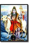 Shiva Laminated Photo - 5x7 Inches, Divine Blessings for Home & Office and Temple Decoration Shiva Laminated Photo - 5x7 Inches, Divine Blessings for Home & Office and Temple Decoration