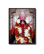 Tara Ma Laminated Photo  - 5x7 Inches, Divine Blessings for Home & Office and Temple Decoration