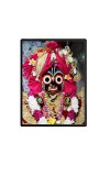 Lord Jagannath Laminated Photo - 5x7 Inches, Divine Blessings for Home & Office and Temple Decoration Lord Jagannath Laminated Photo - 5x7 Inches, Divine Blessings for Home & Office and Temple Decoration