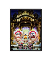 Lord Jagannath Laminated Photo  - 5x7 Inches, Divine Blessings for Home & Office and Temple Decoration