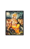Sri Krishna Laminated Photo - 5x7 Inches, Divine Blessings for Home & Office and Temple Decoration Sri Krishna Laminated Photo - 5x7 Inches, Divine Blessings for Home & Office and Temple Decoration