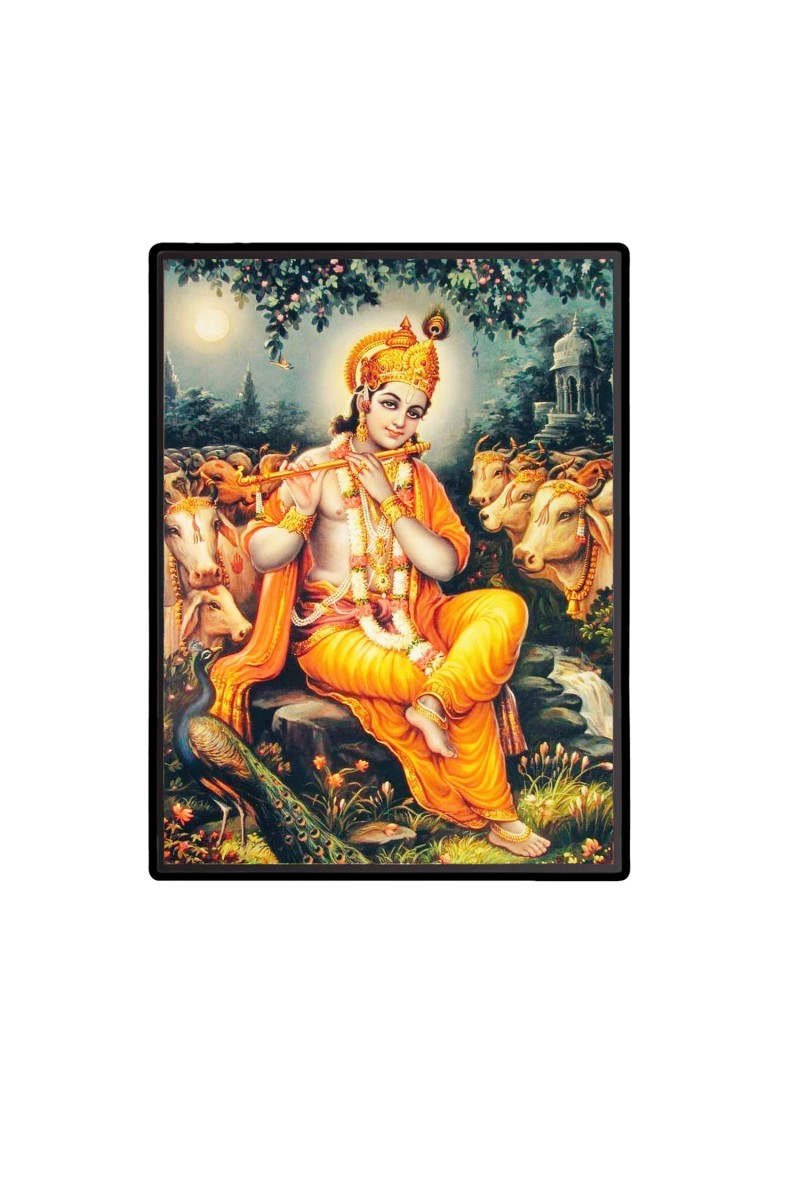 Sri Krishna Laminated Photo  - 5x7 Inches, Divine Blessings for Home & Office and Temple Decoration