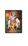 Sri Krishna Laminated Photo - 5x7 Inches, Divine Blessings for Home & Office and Temple Decoration Sri Krishna Laminated Photo - 5x7 Inches, Divine Blessings for Home & Office and Temple Decoration