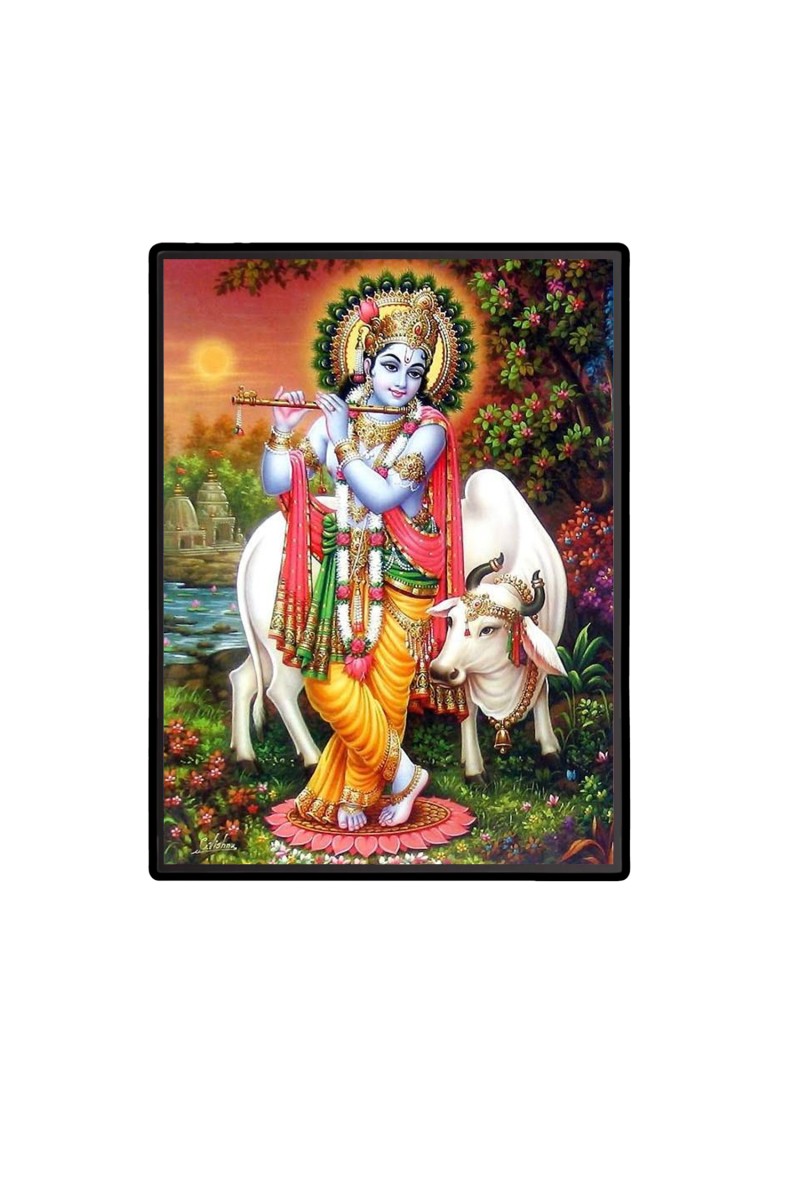 Sri Krishna Laminated Photo  - 5x7 Inches, Divine Blessings for Home & Office and Temple Decoration
