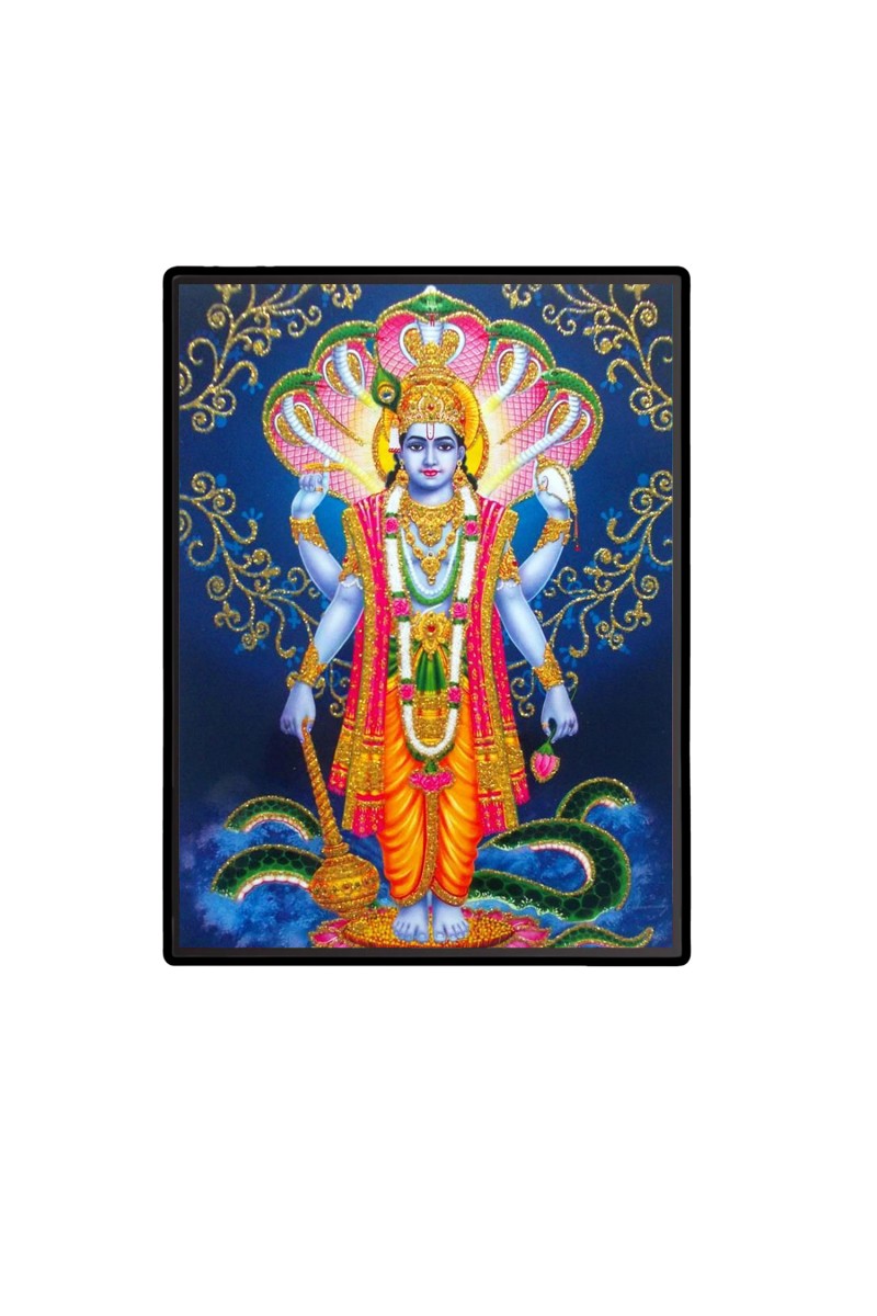 Vishnu  Laminated Photo  - 5x7 Inches, Divine Blessings for Home & Office and Temple Decoration